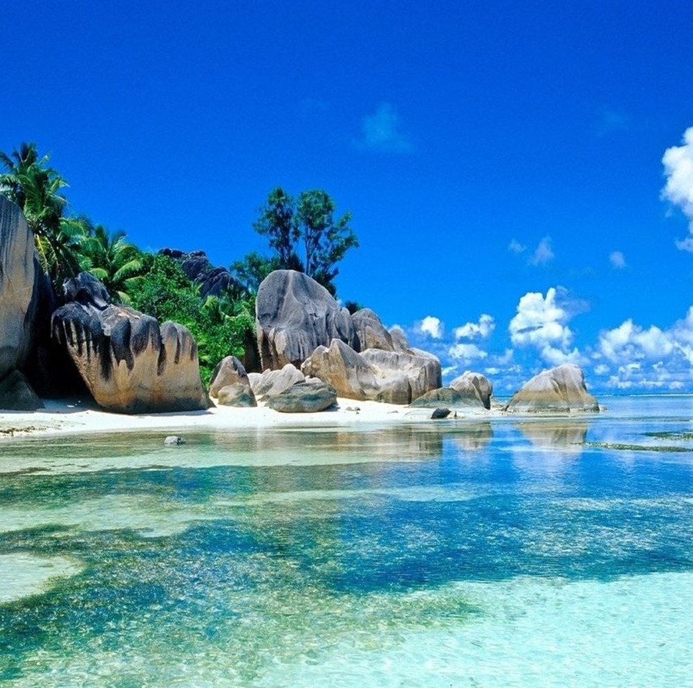 Meet your Posher, Kaley